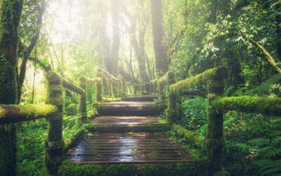 UnifiCloud Reliable Guidance Regarding How To Use Facebook or twitter For Marketing and advertising